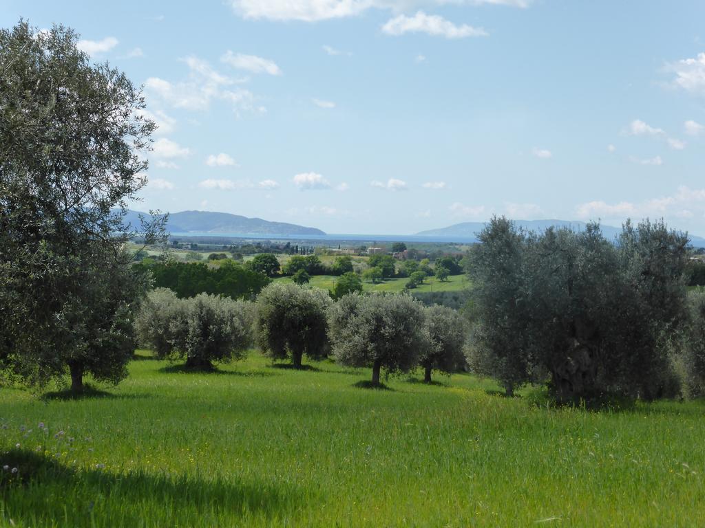 Villa Campospillo à Magliano in Toscana Extérieur photo