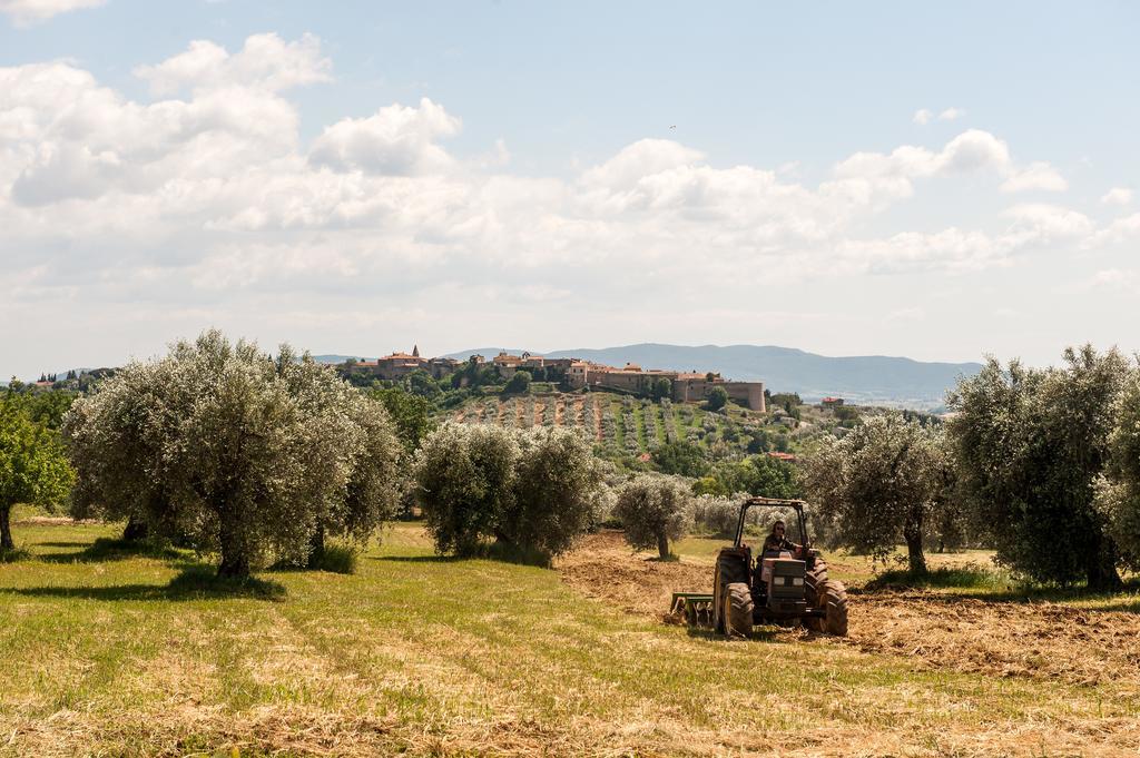 Villa Campospillo à Magliano in Toscana Extérieur photo